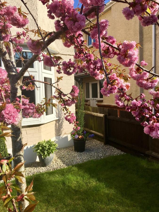 Bed and Breakfast Cherry Tree House Борнмут Экстерьер фото
